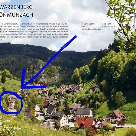 Adieu Alltag: Pension Oesterle Im Schwarzwald Schonmunzach Exterior photo