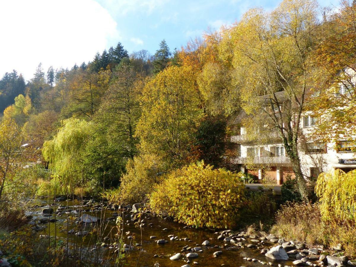 Adieu Alltag: Pension Oesterle Im Schwarzwald Schonmunzach Exterior photo